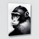 Monkey 6 Wall Art