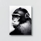 Monkey 6 Wall Art