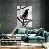 Oriole Bird 4 Wall Art