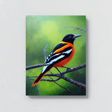 Oriole Bird 7 Wall Art