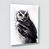 Owl 10 Wall Art