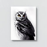 Owl 10 Wall Art