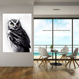 Owl 10 Wall Art