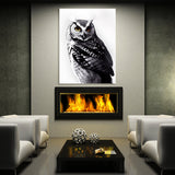 Owl 10 Wall Art