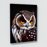 Owl 11 Wall Art