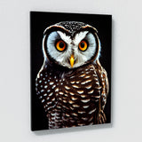 Owl 16 Wall Art