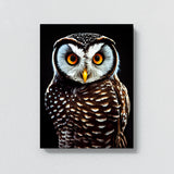 Owl 16 Wall Art