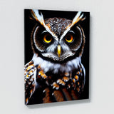 Owl 17 Wall Art
