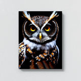 Owl 17 Wall Art