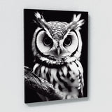 Owl 18 Wall Art