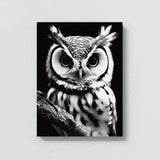 Owl 18 Wall Art