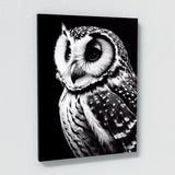 Owl 9 Wall Art