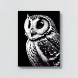 Owl 9 Wall Art