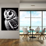 Owl 9 Wall Art