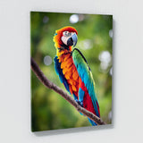 Parrot Macaw Bird 1 Wall Art