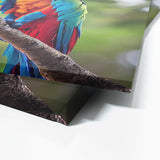 Parrot Macaw Bird 1 Wall Art