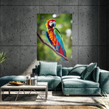 Parrot Macaw Bird 1 Wall Art