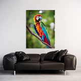 Parrot Macaw Bird 1 Wall Art