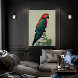 Parrot Macaw Bird 16 Wall Art