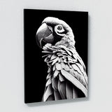 Parrot Macaw Bird 4 Wall Art