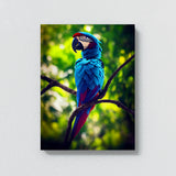 Parrot Macaw Bird 5 Wall Art