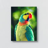 Parrot Macaw Bird 9 Wall Art