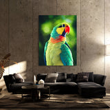 Parrot Macaw Bird 9 Wall Art