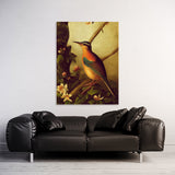 Pigeon Bird 1 Wall Art