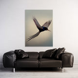 Pigeon Bird 4 Wall Art