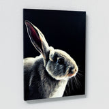 Rabbit 1 Wall Art