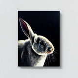Rabbit 1 Wall Art