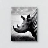 Rhinoceros 3 Wall Art