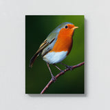 Robin Bird 4 Wall Art
