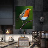 Robin Bird 4 Wall Art