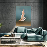 Sandpiper Bird 1 Wall Art
