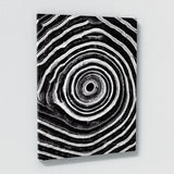 Tree Ring 3 Wall Art