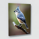 Tufted Titmouse Bird 1 Wall Art