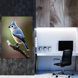 Tufted Titmouse Bird 1 Wall Art