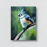 Tufted Titmouse Bird 3 Wall Art
