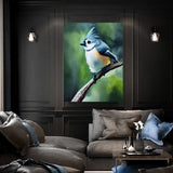 Tufted Titmouse Bird 3 Wall Art