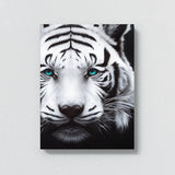 White Tiger Black And White Wall Art