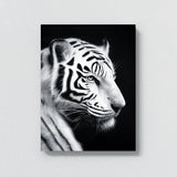 White Tiger Profile Black And White Wall Art