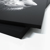White Tiger Profile Black And White Wall Art