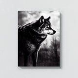 Wolf 7 Wall Art