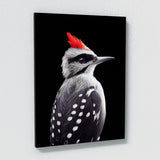 Woodpecker Bird 2 Wall Art
