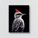 Woodpecker Bird 2 Wall Art