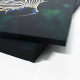 Zebra 1 Wall Art